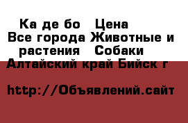 Ка де бо › Цена ­ 25 - Все города Животные и растения » Собаки   . Алтайский край,Бийск г.